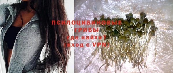 не бодяженный Краснотурьинск